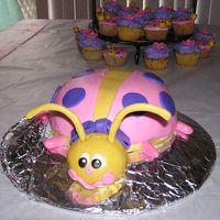 Lady Bug Cake Here I had fondant antenna on the lady bug, they were to heavy and kept falling/breaking, so I substituted bendy straws ;)