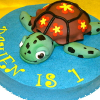 Squirt Here is a cake I made for an adorable little 1 year old. The turtle is carved out of cake. I had to freeze the cake to get it stable enough...