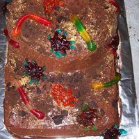 Bug Mountain Iced with Chocolate Buttercream, crushed oreos and graham crackers for dirt and decorated with gummy worms & spiders