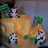 Good Bye Michigan, Hello Wisconsin!!! This was for a woman who worked with my husband. She moved back to Wisconsin so I made a cheese wheel with a few fondant cows.