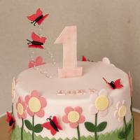 Flowers And Butterflies 