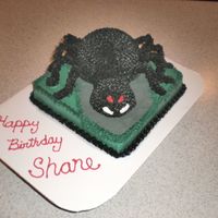 Spider Cake Buttercream with ball pan and mini-ball. Legs are twizzlers over pipe cleaners and covered with b/c.