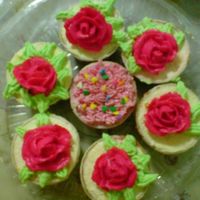 Dsc00252.jpg 