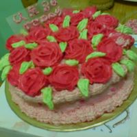 Dsc00257.jpg 