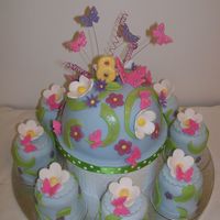 Butterflies And Flowers This was for my daughters 8th birthday. She wanted a cake with butterflies and flowers on it. I make the large dome cake (which we were...
