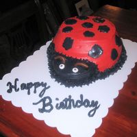 Img_0001.jpg This is a ladybug cake I made for my grand daughter on her second birthday. I had not taken any cake decorating classes at this time.