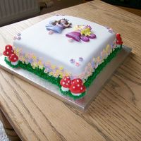 Fairy Friends Square Maderia covered in Sugarpaste