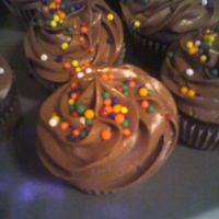 Chocolate Cup Cakes Chocolate sour cream icing with sprinkles