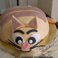 Cat Cake i made this cake for my son's first birthday. &Yacute; made another two cakes. The others was elephant and cat shaped.