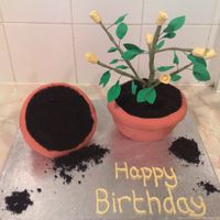 Flower Pot Cake this cake was made for my boyfriends moms birthday. i baked the cakes in basins, both were chocolate cakes with chocolate buttercream. iced...