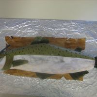 Alaskan Pink Salmon I made this for a gentleman's 54th birthday party...