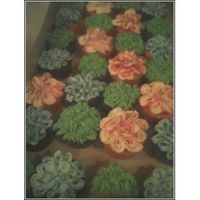 Flower Cupcakes saw these online somewhere and had to try it!!!!!!!So easy!!