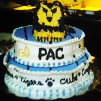 Cheer Team Cake This cake was for a kick off bbq of my daughters All Star Cheer team, Pride Athletics Champions. (PAC) It is blue on top for the spring...