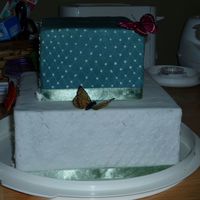 Practice Cake I was trying some things out to show a bride for her wedding cake.