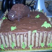 Roaming Buffalo I used Rice Krispie Treats to make the buffalo.