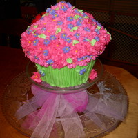 Gracie's Flowers giant cupcake pan, lady bug made from candy melts and candy mold from wilton