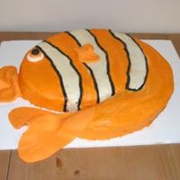Nemo This is my first cake without classes. I ended up taking classes a few months later.