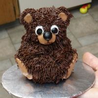 Furry Brown Bear Sean's smasher cake!
