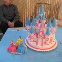 Castle Cake 