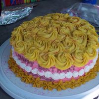 Rosettes I used a pattern from a wilton instruction book. and used all buttercream. The cake wasa hit at the birthday party. Very pretty cake to...