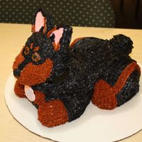 My Dog Coco Chanel This was my WOW ME CAKE, from my Course One decorating Class, made at the end of the 3 weeks. I had a lot of inspiration from Ace of Cakes...
