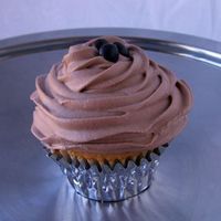 Tiramisu Cupcake 
