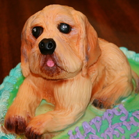 Puppy Birthday Cake The base cake was a one layer 10 inch cake iced in buttercream and airbrushed witht the colors from the birthday plates and tablecloth. The...