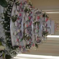 Welcome Twins Cupcake Tree Made for a friend who was adopting twins. Over 200 cupcakes decorated in buttercream and topped with molded chocolate. Sorry that it's...