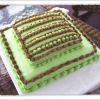 Chocolatemintcake.jpg Chocolate mint cake