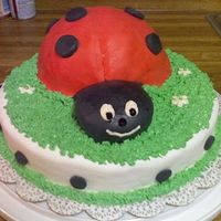 Ladybug! My first cake using homemade marshmallow fondant. Wasn't nearly as easy as I hope it would be.