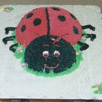 Ladybug Cake this was made for a 1 year old birthday party. Her room was decorating in ladybugs so it fit in well. The picture did not scan very well to...