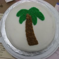 Cake 1, Class 1 - Palm Tree This is the picture before I added the bottom border. I was so proud of my first cake!