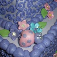 Baby Girl Bug Cake close up