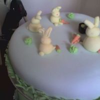 Bunny Rabbits this is the second cake i ever decorated it was easter so did an easter theme