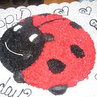 Ladybug Cake This cake was for my sisters 18th bday. And was her favorite flavor cake, funfetti