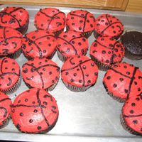 Ladybug Cupcakes These are ladybug cupcakes to go with a ladybug cake I made.