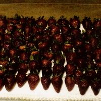 Strawberries Galore!!!!! this was made for a church member who lovesssssss strawberry anything! This is a delicious homemade strawberry cake covered with BC and...