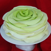Giant Rose Cake Another giant rose cake, this time in green for my friend who absolutely loves the color! And again, thanks to Alvarezmom for the great...