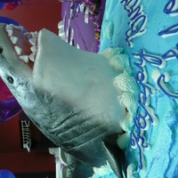 Great White Shark Cake Another family project and great fun to research and make! Shark is made from rice krispie treats covered in MMF and air brushed with color...