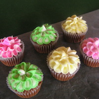 Cupcakes Just some cupcakes I decorated with left over buttercream icing. Cupcakes are vanilla.