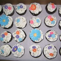 057.jpg Gumpaste Daisy Cupcakes