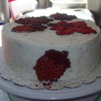 Course One Cake Decorated by my 12 year old son when he took Wilton's Cake Course 1.