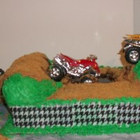 4-Wheeler Mud-Riding This cake was built and decorated by me following my son's instructions on how he wanted my grandson's birthday cake to be. My...