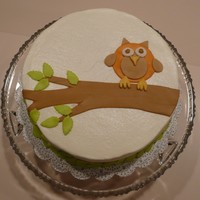 Becky52's Owl Cake This is based on Becky52's adorable owl cake. I was testing a new recipe (vanilla butter cake from the mermaid bakery) and had some...