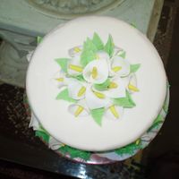 P3020100.jpg cake for my mother inlaw