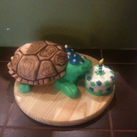 Turtle's Birthday I did this cake for my boss' wife. She loves turtles. WASC carved out of an 8". Covered in Modeling chocolate with hand painted...