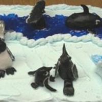 Marine Biology High School Project This is a cake I helped my autistic son make for his marine bio final report. He did most of the work making the penguins, seals, whale,...