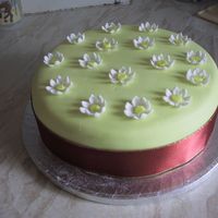 Daisy Cake My first attempt at daisy's!!