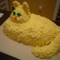 Cat Cake 2-13x9 cakes with head and tail made from cake carcass. Made for my friends b-day. Ears, eyes and nose are gumpaste.