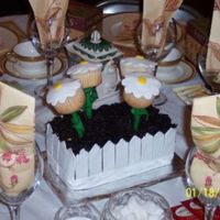 Garden Party Flowers in a flower bed.